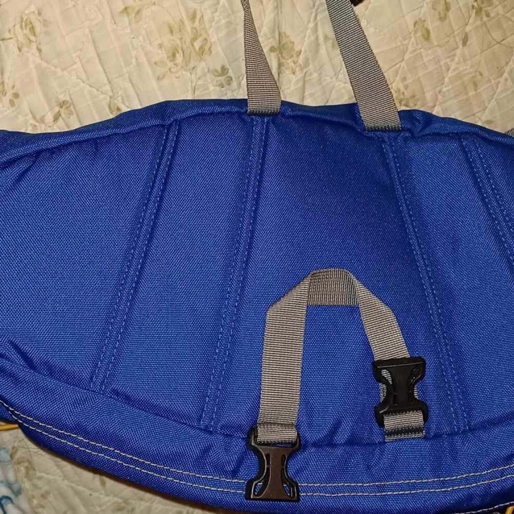 THE NORTHFCE FANNY PACK